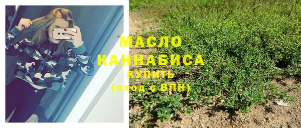ешки Медногорск